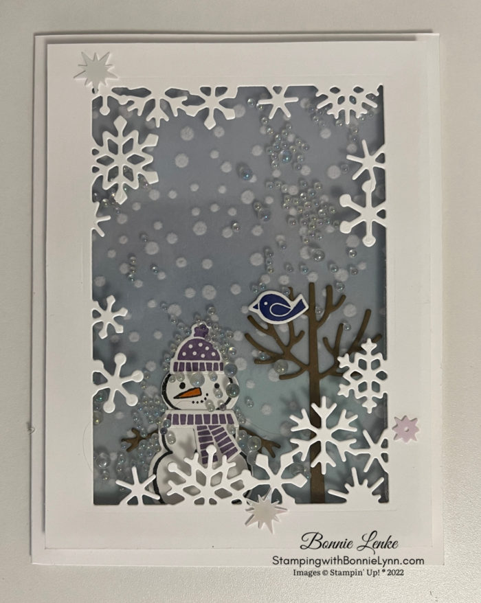Knit Hat Snow Person